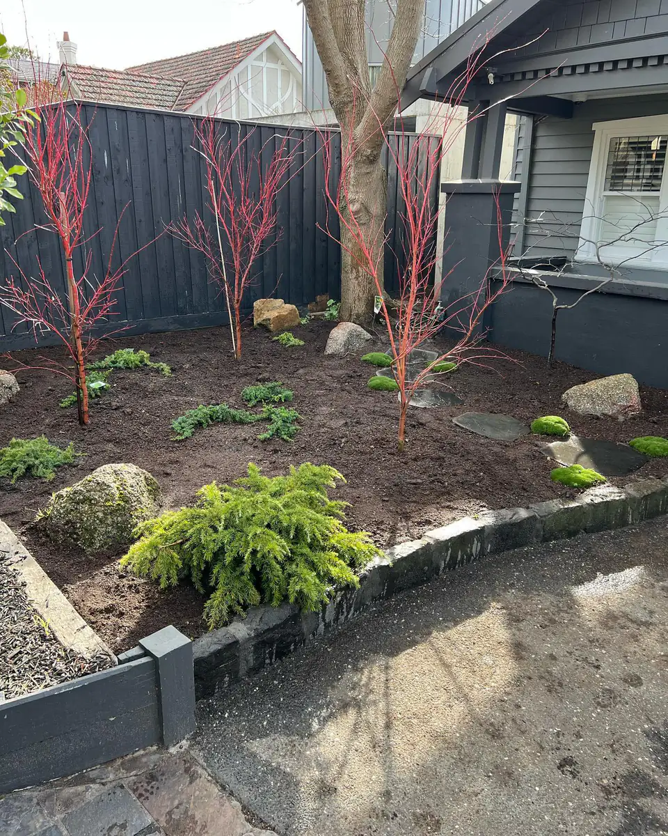 Front garden planted by GardenScaping in Brighton East