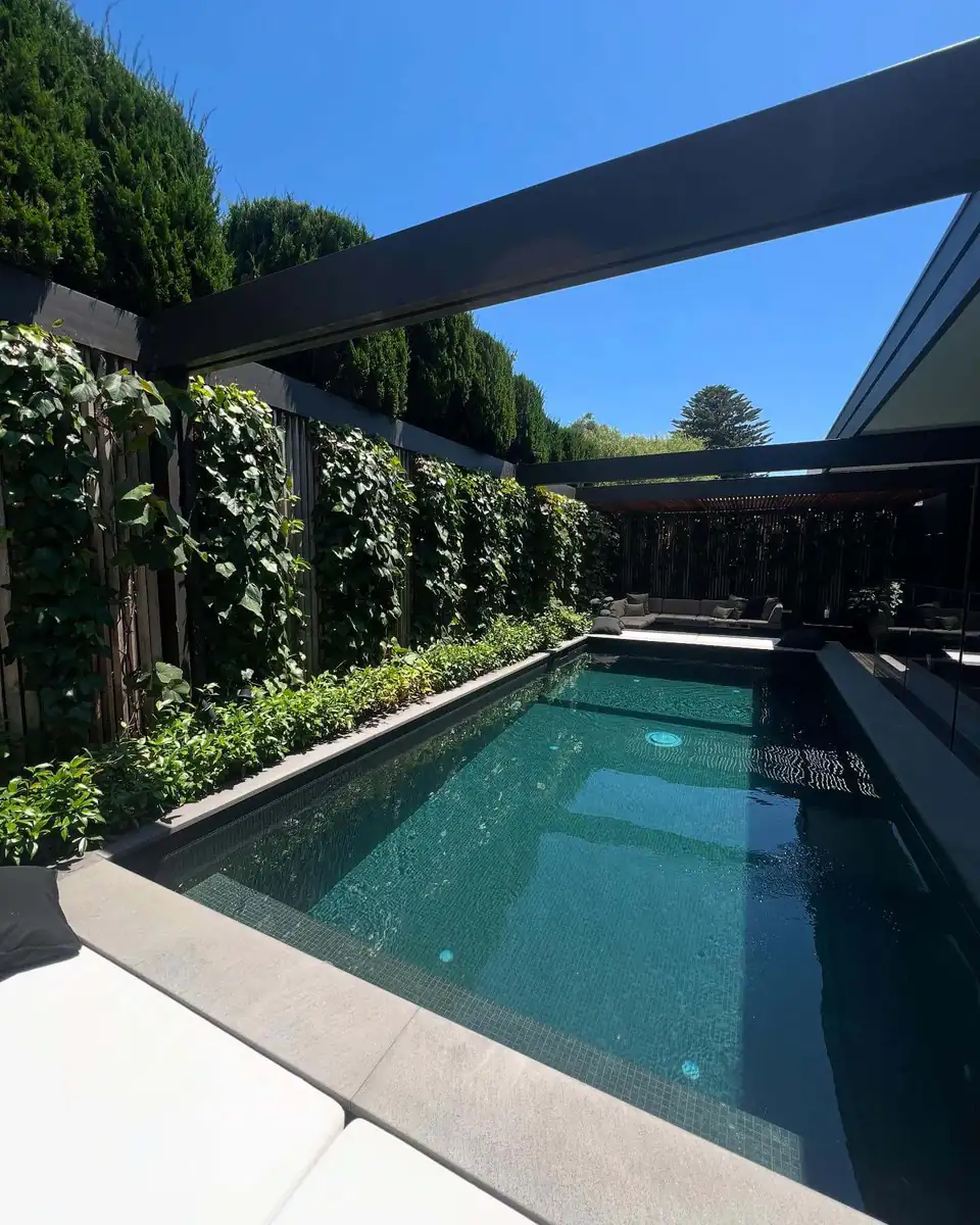 Garden maintained by GardenScaping in Brighton, Melbourne
