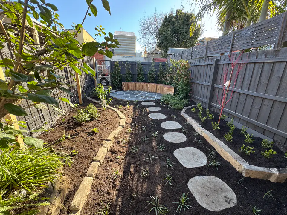 New planting on automatic irrigation installed by GardenScaping in Carlton North