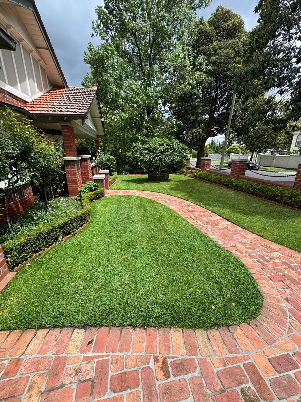 Low hedges and lawn by GardenScaping in Hawthorn East